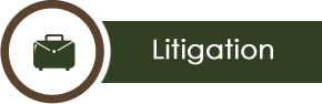 Pensacola Personal Injury Lawyer | Artice L. McGraw, Attorney | Litigation Icon